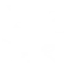 Lightning Ninjutsu