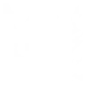 Spark Stick