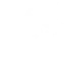 Weapons